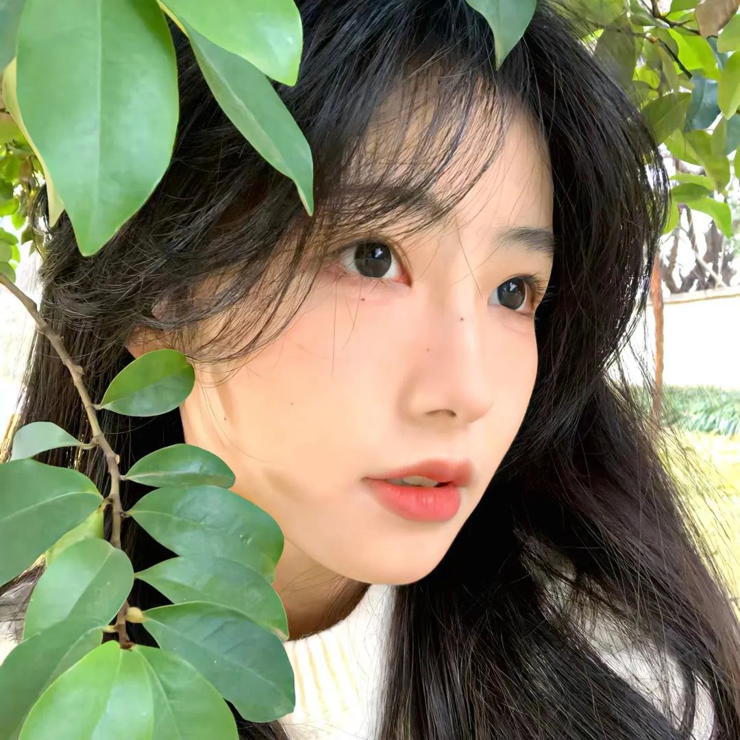 摇滚水果